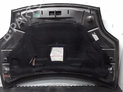Hood FIAT BRAVO II (198_) 1.9 D Multijet (198AXC1B) | BP21563420C1