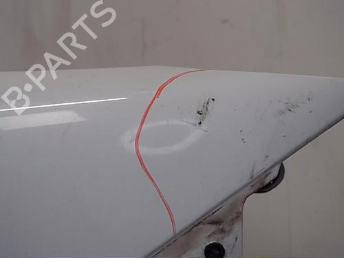 Left front fenders RENAULT MEGANE II Estate (KM0/1_)  | BP16696139C41 