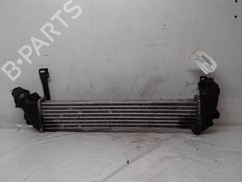 Used Intercooler RENAULT KANGOO Express (FC0/1_) [1997-2025]  16377000