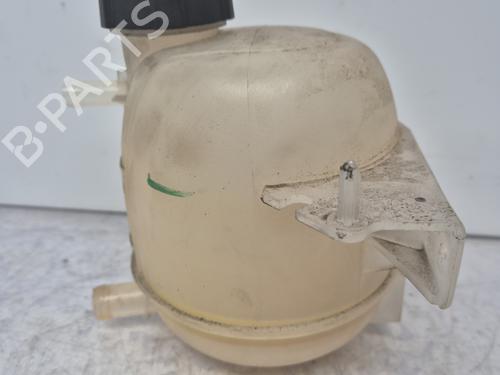 Expansion tank DACIA LOGAN MCV (KS_) 1.6 16V (KS0L, KS0M, KS0P, KS1S) | BP32291290C120