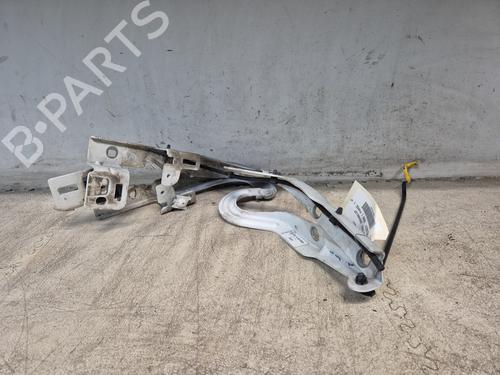 Hinge/Door check strap PEUGEOT 3008 I MPV (0U_)  | BP27856306C146 