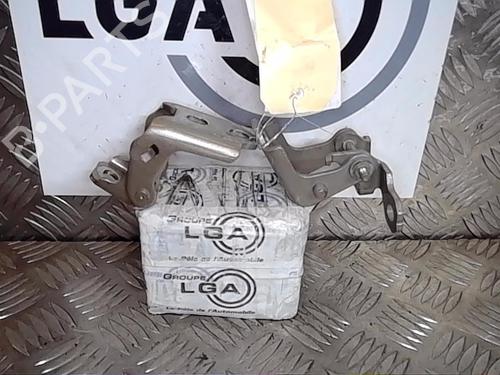 Used Hinge/Door check strap RENAULT SCÉNIC IV (J9_) [2016-2022]  14556673