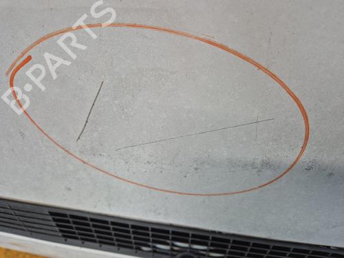 Hood CITROËN JUMPY II Van 2.0 HDi 125 | BP24943060C1 