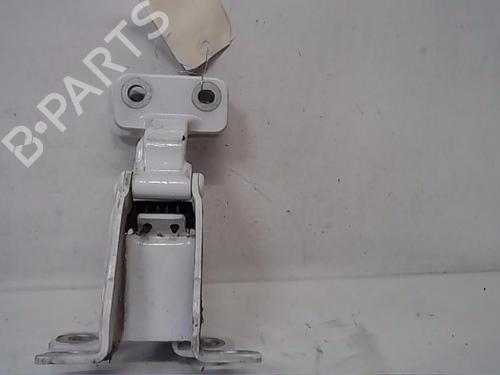 Hinge/Door check strap RENAULT KANGOO Express (FW0/1_)  | BP14561980C146 