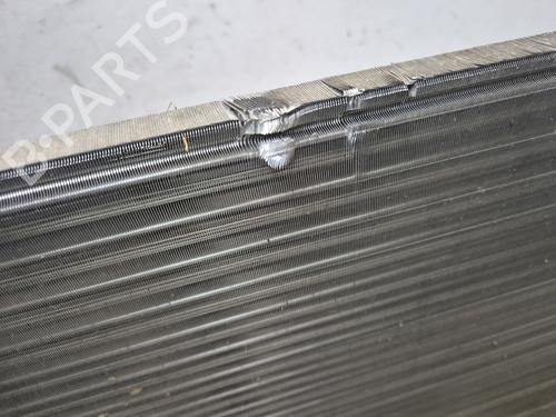 Kjøler RENAULT MEGANE III Hatchback (BZ0/1_, B3_) | BP30824540M31