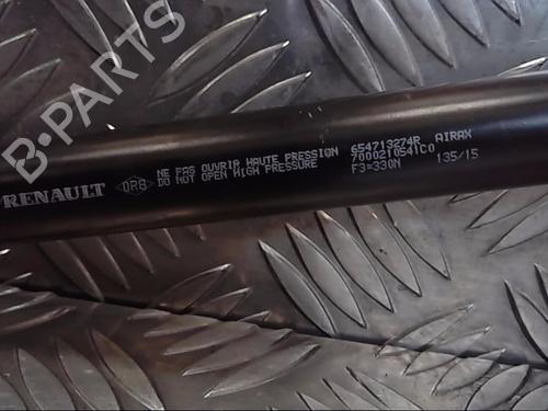 Hood lift support DACIA SANDERO II TCe 90 (B8M1, B8MA, B8AC) | BP14551015C139 