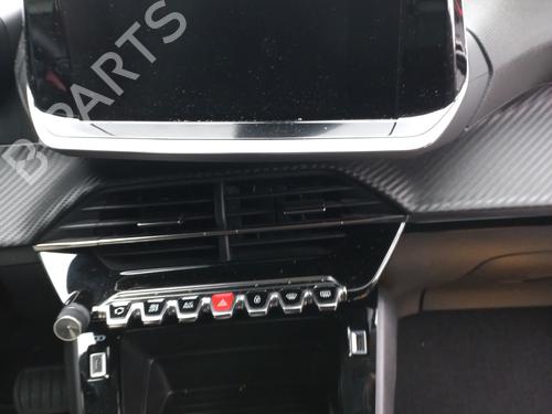 Radio PEUGEOT 208 II (UB_, UP_, UW_, UJ_) 1.2 PureTech 100 | BP24600610E6 