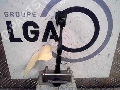 Hinge/Door check strap RENAULT SCÉNIC IV (J9_) 1.3 TCe 160 (J9NC) 804301428R