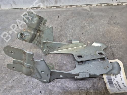 Dørhængsel/Dørbegrænser RENAULT VEL SATIS (BJ0_) 2.2 dCi (BJ0E, BJ0F) | BP30767069C146