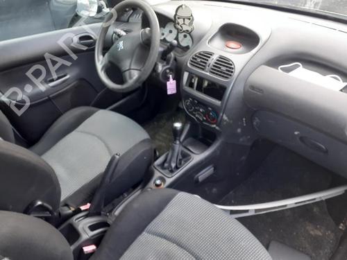 Left rear door PEUGEOT 206 SW (2E/K) 1.4 | BP13847164C4 