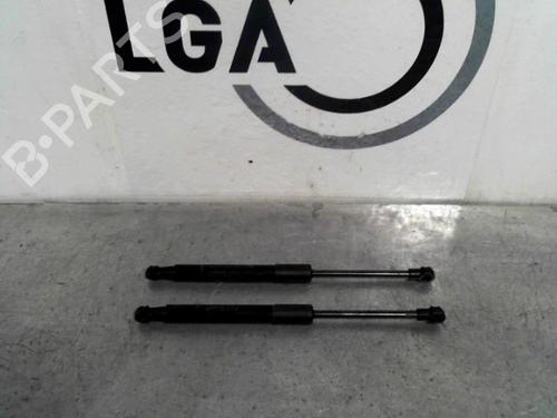 Hood lift support RENAULT GRAND SCÉNIC IV (R9_) 1.6 dCi 160 654704597R
