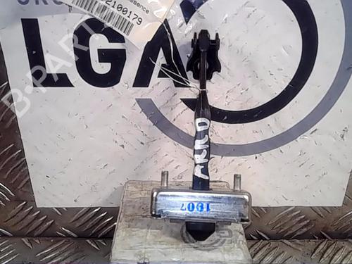 Hinge/Door check strap RENAULT SCÉNIC IV (J9_) 1.3 TCe 160 (J9NC) 824306566R