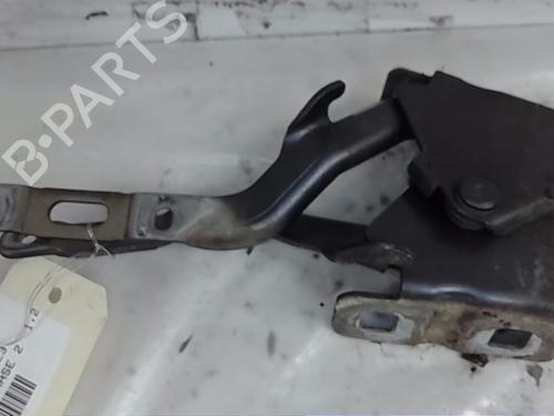 Hinge/Door check strap LANCIA MUSA (350_) 1.3 D Multijet (350.AXG11, 350.AXG1A) | BP21060421C146 