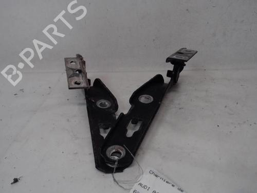 Hinge/Door check strap AUDI A4 B7 Avant (8ED)  | BP14562494C146 