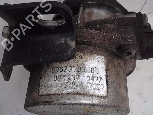 Vacuum pump RENAULT CLIO III (BR0/1, CR0/1) | BP13842452M80