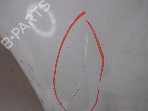 Left front fenders RENAULT MEGANE II Estate (KM0/1_)  | BP16696139C41 
