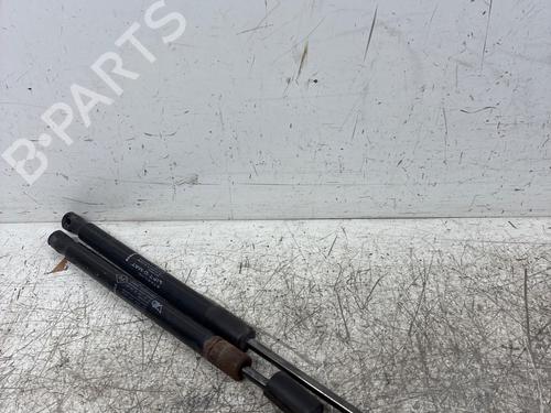 tailgate-lift-support-dacia-duster-hs_-2010-2011-2012-2013-2014-2015-2016-2017-2018-39572274 main image