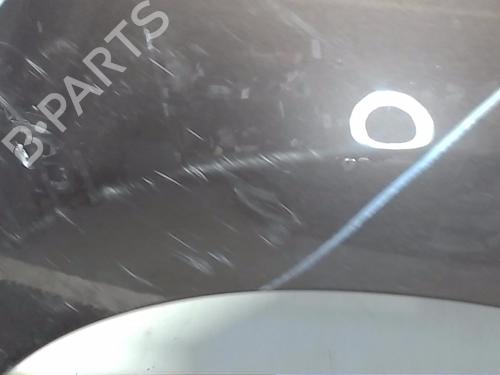 Right front fenders RENAULT SCÉNIC III (JZ0/1_) 1.5 dCi | BP19308338C42 
