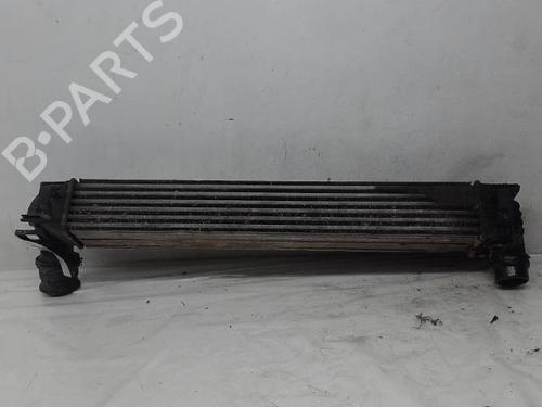 Intercooler RENAULT MEGANE III Hatchback (BZ0/1_, B3_) 1.5 dCi (BZ09, BZ0D, BZ1W, BZ29, BZ14) | BP15087324M30 