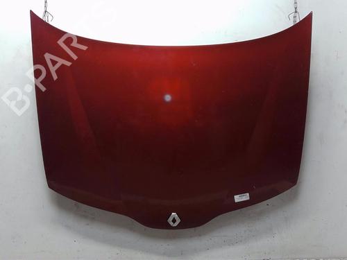 Used Hood RENAULT LAGUNA II (BG0/1_) 1.9 dCi (BG08, BG0G) (120 hp) 16341106