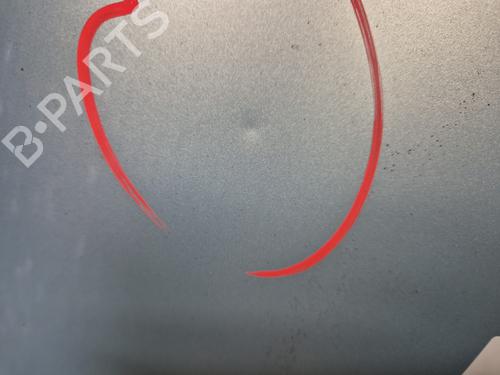 Hood RENAULT KANGOO BE BOP (KW0/1_)  | BP29845875C1 