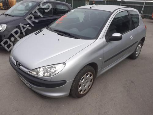 Left mirror PEUGEOT 206 Hatchback (2A/C)  | BP13847749C26 