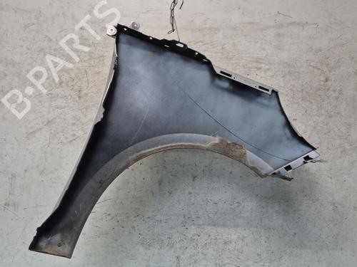 Left front fenders RENAULT SCÉNIC III (JZ0/1_) 1.5 dCi | BP29215056C41 