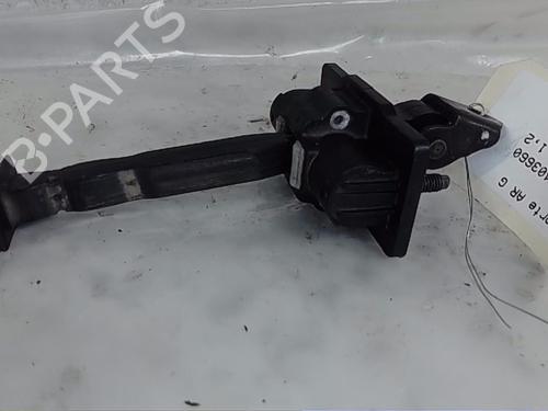 Hinge/Door check strap PEUGEOT 2008 II (UD_, US_, UY_, UJ_, UR_, UC_)  | BP23099567C146 