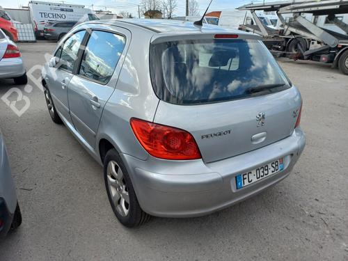 Hood PEUGEOT 307 (3A/C) 1.6 HDi 110 | BP13829488C1 