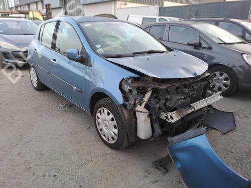 Left rear door RENAULT CLIO III (BR0/1, CR0/1)  | BP24419738C4 