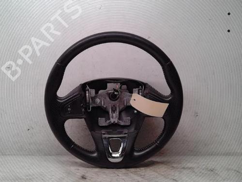 Rat RENAULT SCÉNIC III (JZ0/1_) 1.6 dCi (JZ00, JZ12) (130 hp) 16566665