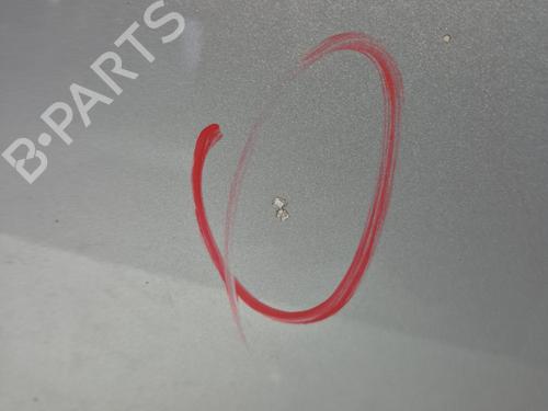 Right front door MINI MINI (R56) Cooper D | BP32291823C3