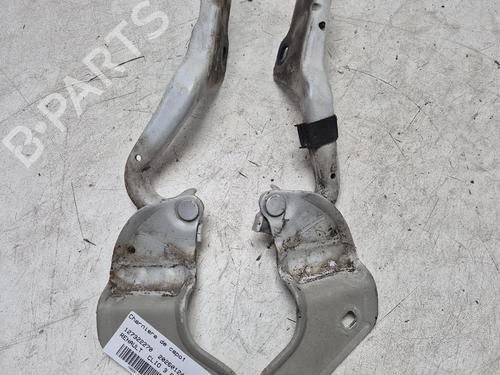 hingedoor-check-strap-renault-clio-iii-br01-cr01-2005-2006-2007-2008-2009-2010-2011-2012-2013-2014-36913406 main image