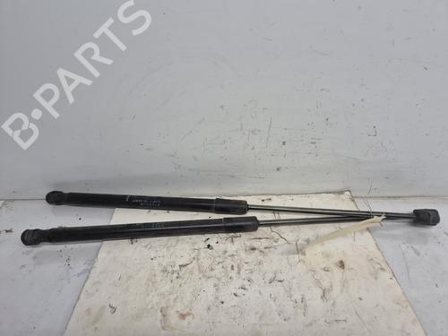 tailgate-lift-support-dacia-sandero-2008-33413844 main image