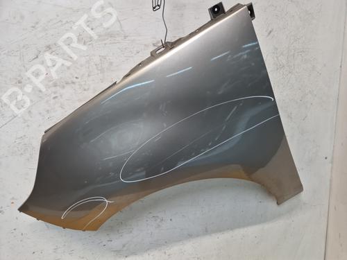 Used Left front fenders RENAULT SCÉNIC III (JZ0/1_) 1.9 dCi (JZ0J, JZ1J, JZ1K, JZ1S) (131 hp) 24650783
