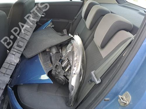 Left rear door RENAULT CLIO III (BR0/1, CR0/1)  | BP24419738C4 