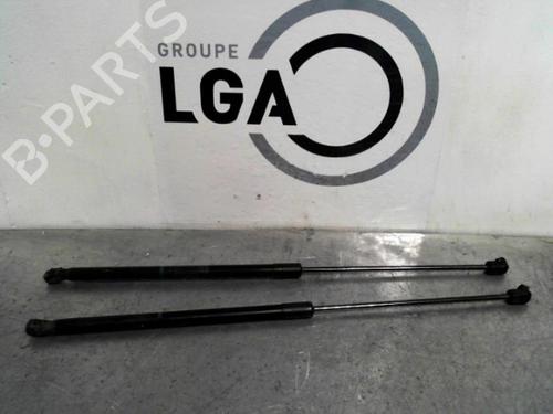 Used Tailgate lift support OPEL CORSA D (S07) 1.3 CDTI (L08, L68) (75 hp) 14548367