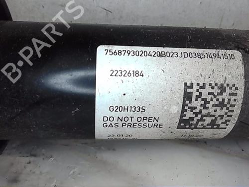 Left rear shock absorber BMW 3 Gran Turismo (F34)  | BP19934234M18 