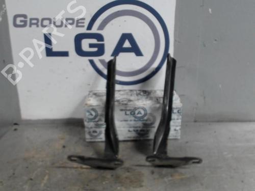 Used Hinge/Door check strap CITROËN C6 (TD_) 2.7 HDi (204 hp) 14547255