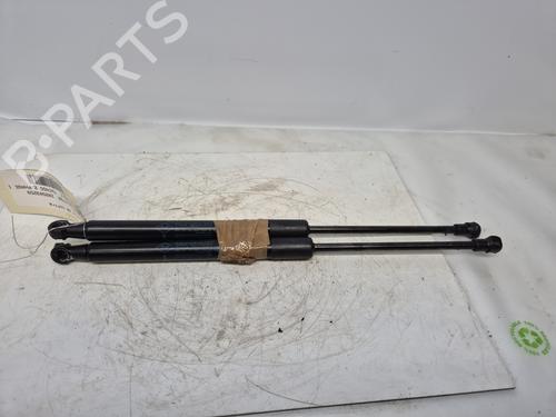 tailgate-lift-support-renault-twingo-ii-cn0_-2007-31140574 main image