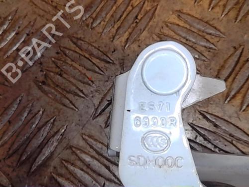 Hinge/Door check strap RENAULT SCÉNIC IV (J9_) 1.3 TCe 160 (J9NC) 904006206R