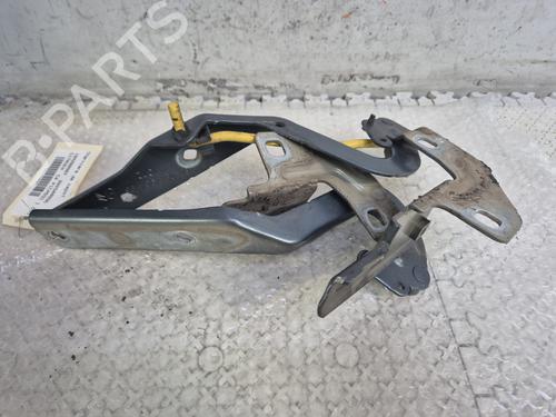 Hinge/Door check strap CITROËN C4 Picasso I MPV (UD_)  | BP25830399C146 