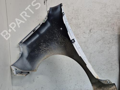 Right front fenders RENAULT KANGOO Express (FW0/1_)  | BP29985332C42