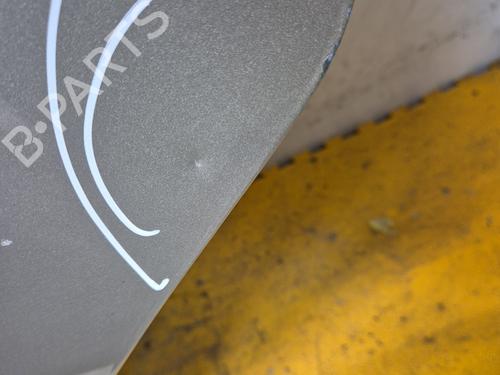 Left rear door LANCIA MUSA (350_) 1.9 D Multijet (350.AXC1A) | BP24576060C4