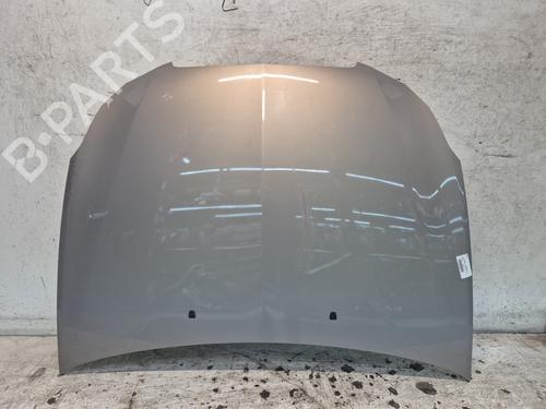 Used Hood LANCIA DELTA III (844_) 1.6 D Multijet (844.AXC11, 844.AXC1A) (120 hp) 29195705