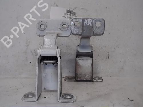 Used Hinge/Door check strap RENAULT KANGOO Express (FW0/1_) [2008-2025]  14563796