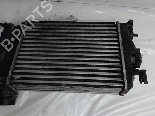 Intercooler RENAULT MEGANE IV Hatchback (B9A/M/N_) 1.2 TCe 130 (B9MR) | BP21755073M30 