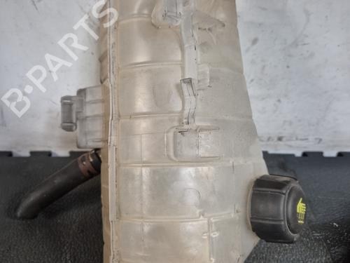 Expansion tank RENAULT KANGOO Express (FW0/1_)  | BP24419438C120 