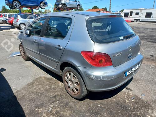 Engine PEUGEOT 307 (3A/C)  | BP28206124M1 