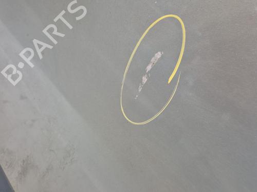 Used Right front door RENAULT SCÉNIC III (JZ0/1_) 1.5 dCi (106 hp) 31029776